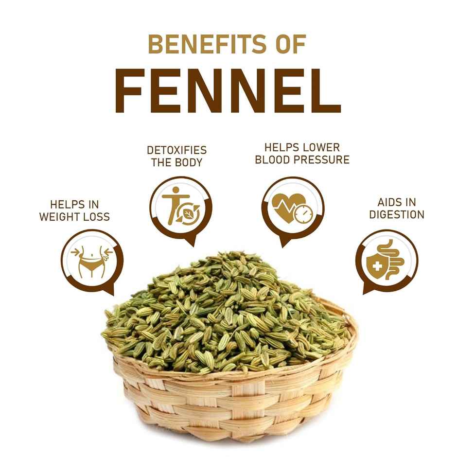 Natureland Fennel Organic Saunf Seeds