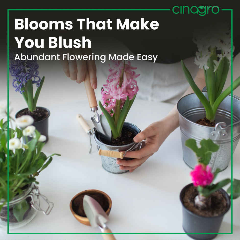 Cinagro Organic Bone Meal Powder Gardening Fertilizer for Plants