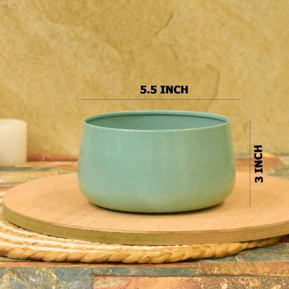 Casacraft by Pepperfry Desk Pot | Mint Green