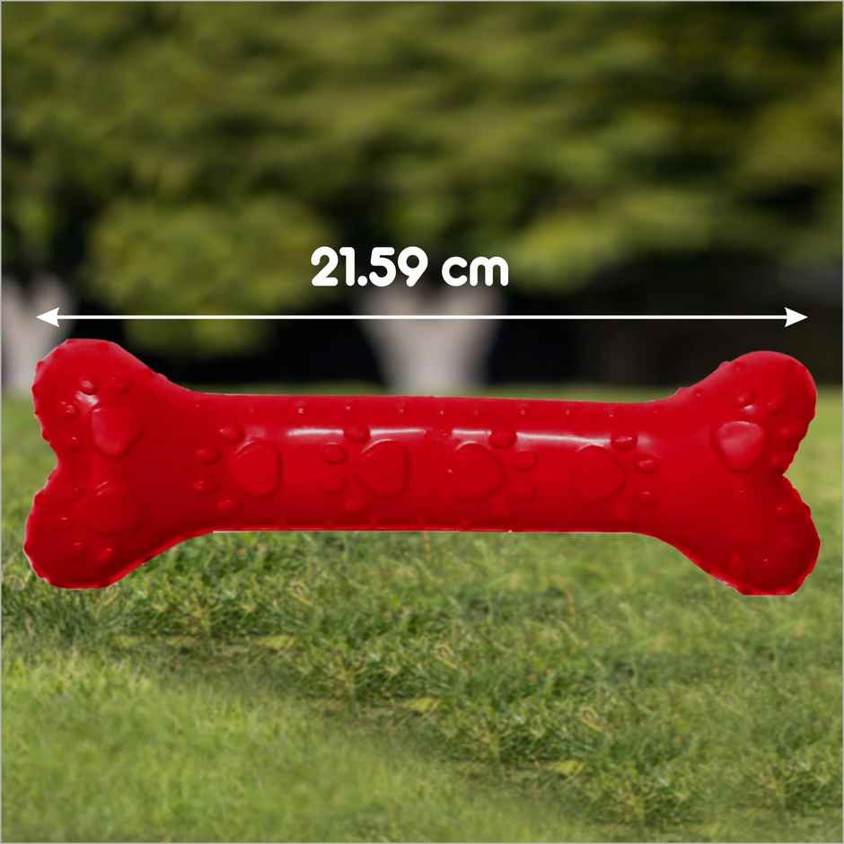 Drools Non-Toxic Rubber Dog Chew Bone Toy, Puppy/Dog Teething Toy (Large) - 8.5 inches