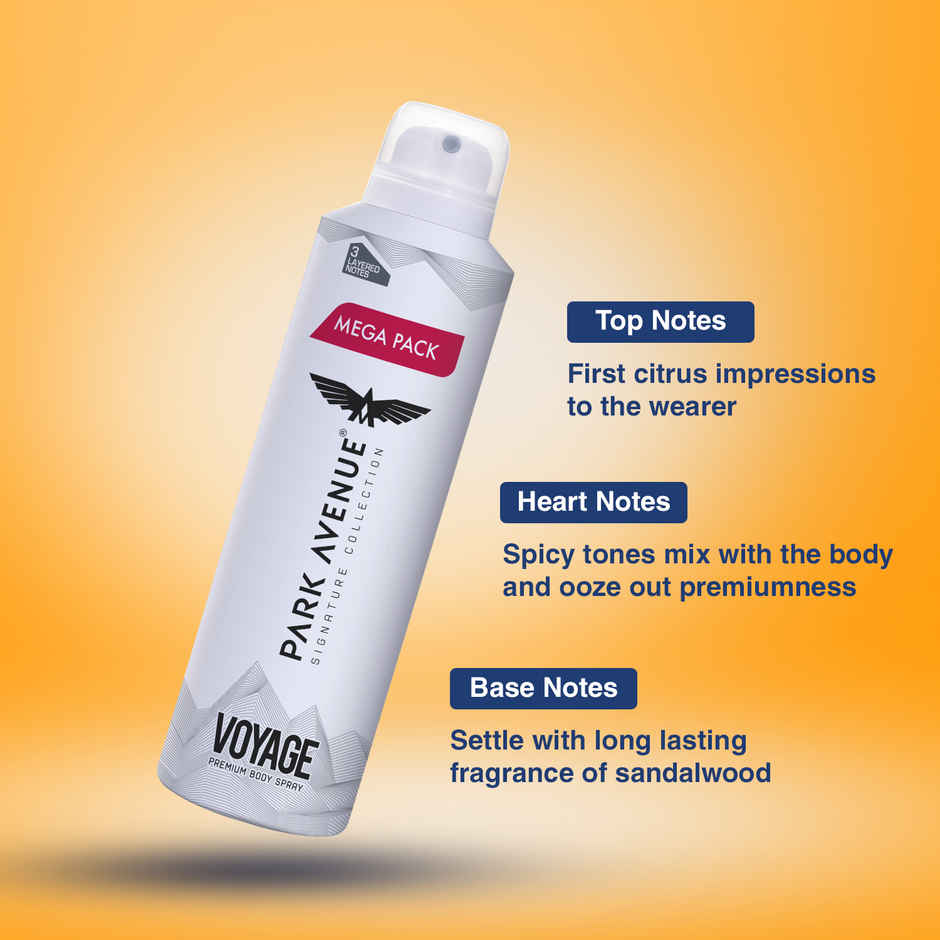 Park Avenue Voyage Deodorant Spray for men