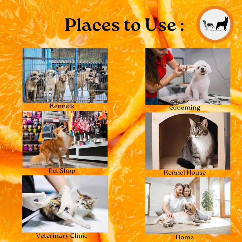 Patch & Marshall Pet Kennel Wash