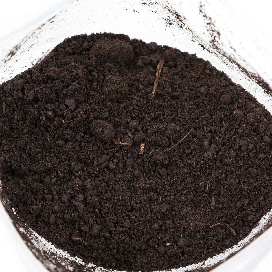 Yoursplants Vermicompost - Bag Pack