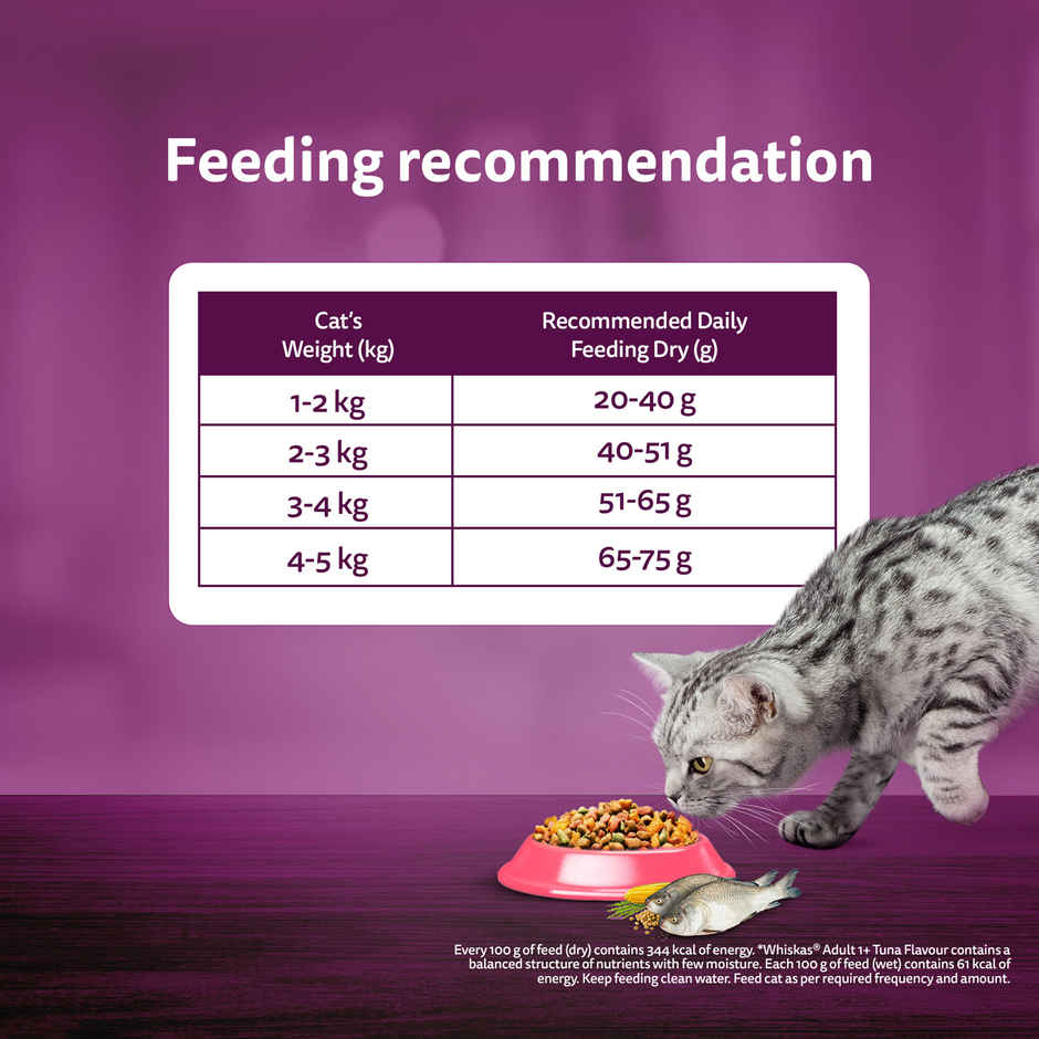 Whiskas Adult Dry Cat Food 1 Plus Years Catla Fish Flavour