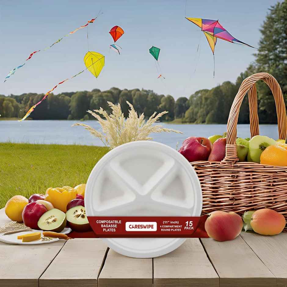 Disposable Plate | 4 Compartment | 11 inch | 10 pcs | Careswipe