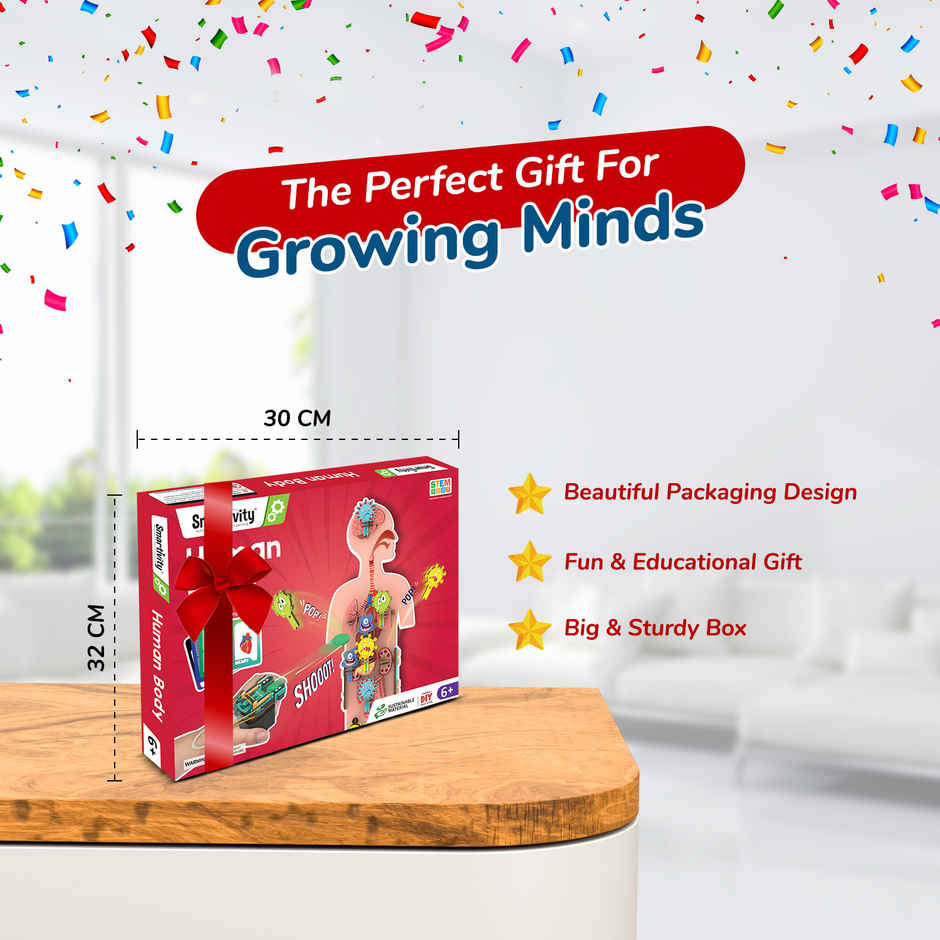Smartivity DIY Human Body Model with Organ Card Games, Fun & Educational Toy