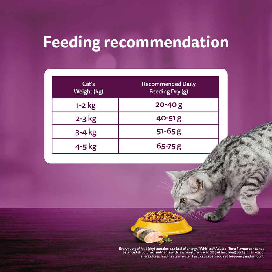 Whiskas Adult Dry Cat Food 1 Plus Years Rohu Fish Flavour