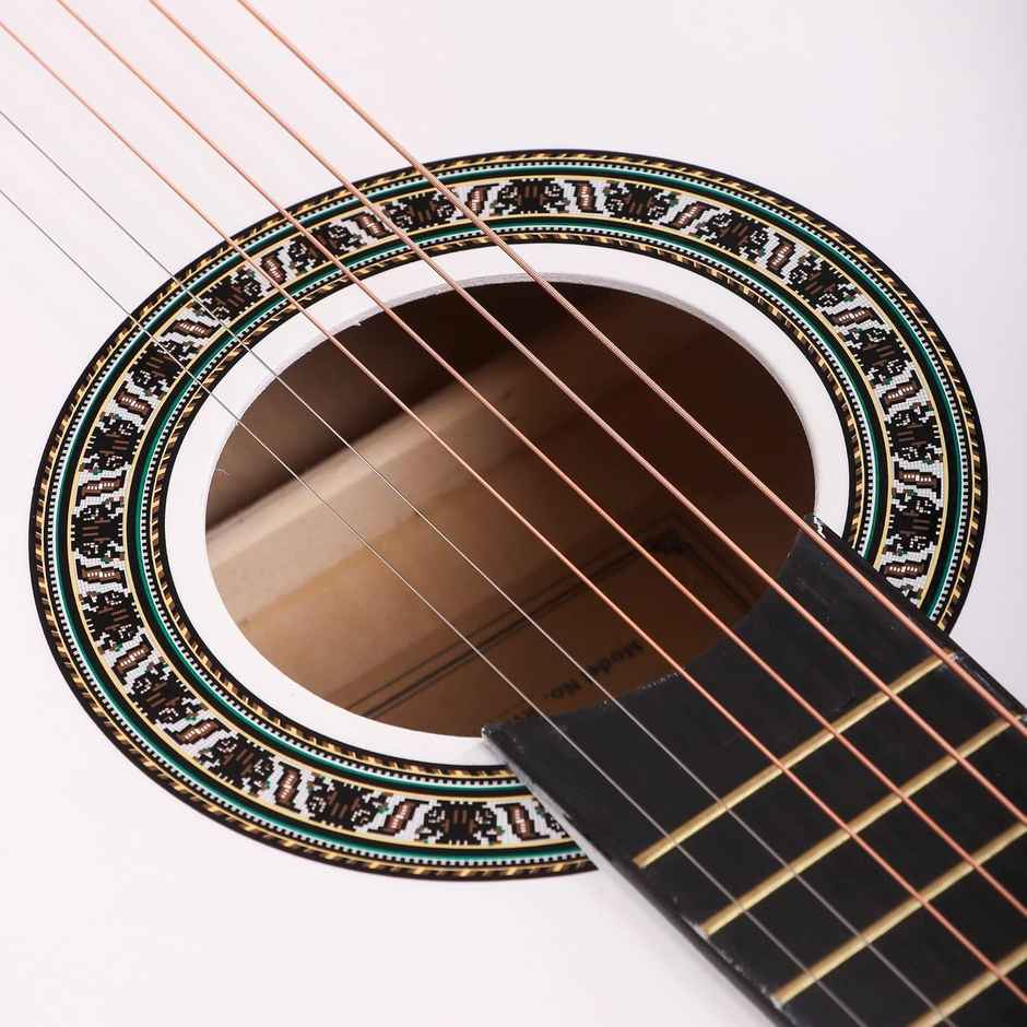 Revel Rvl-38C-Lgp-Wh 38 Inch Acoustic Guitar Linden Wood Ebony Right Hand Orientation | White