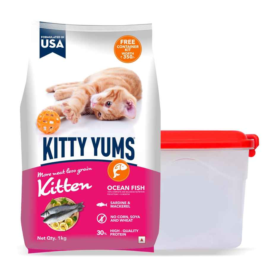 Kitty Yums Kitten Dry Cat Food Ocean Fish with Free Container