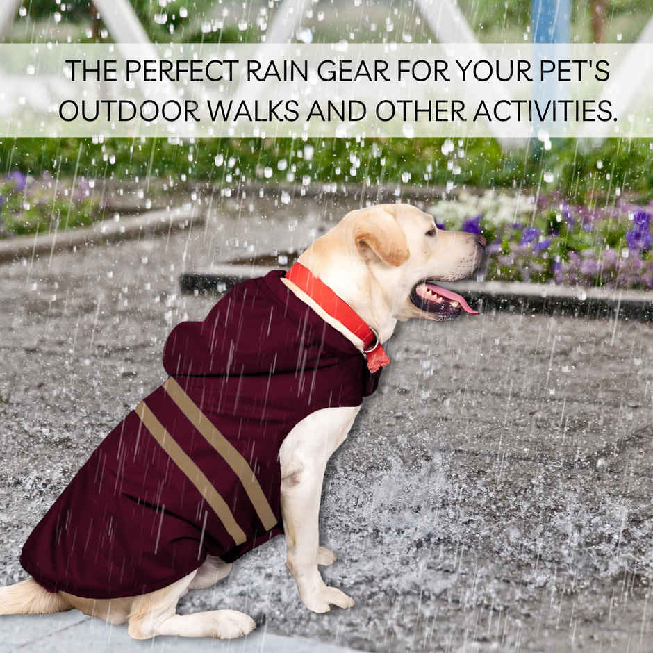Pets Empire Lightweight Mahroon Raincoat Jacket for Adult Dogs , 20inch length , 3XL