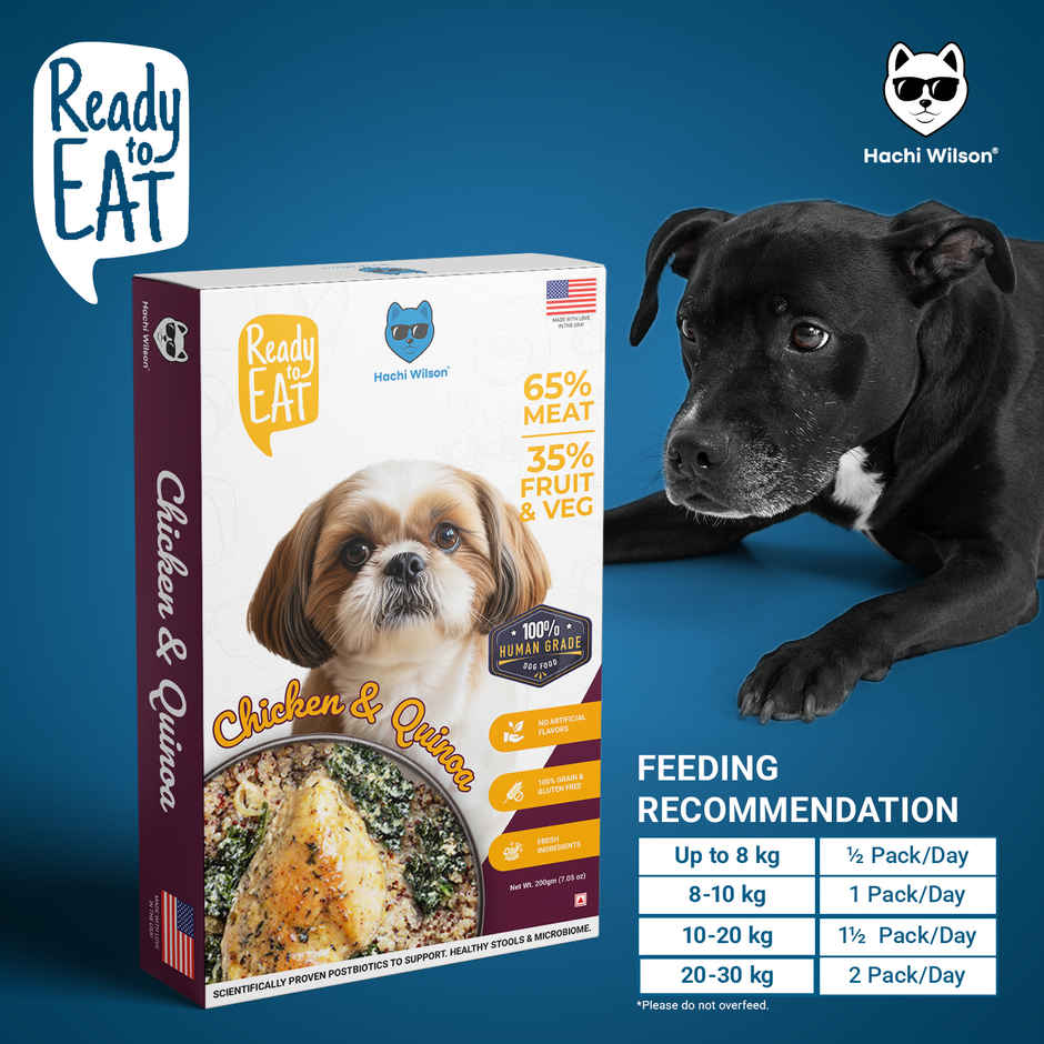 Hachi Wilson Fresh Wholesome Dog Food | Super Healthy food with Chicken and Quinoa Flavour