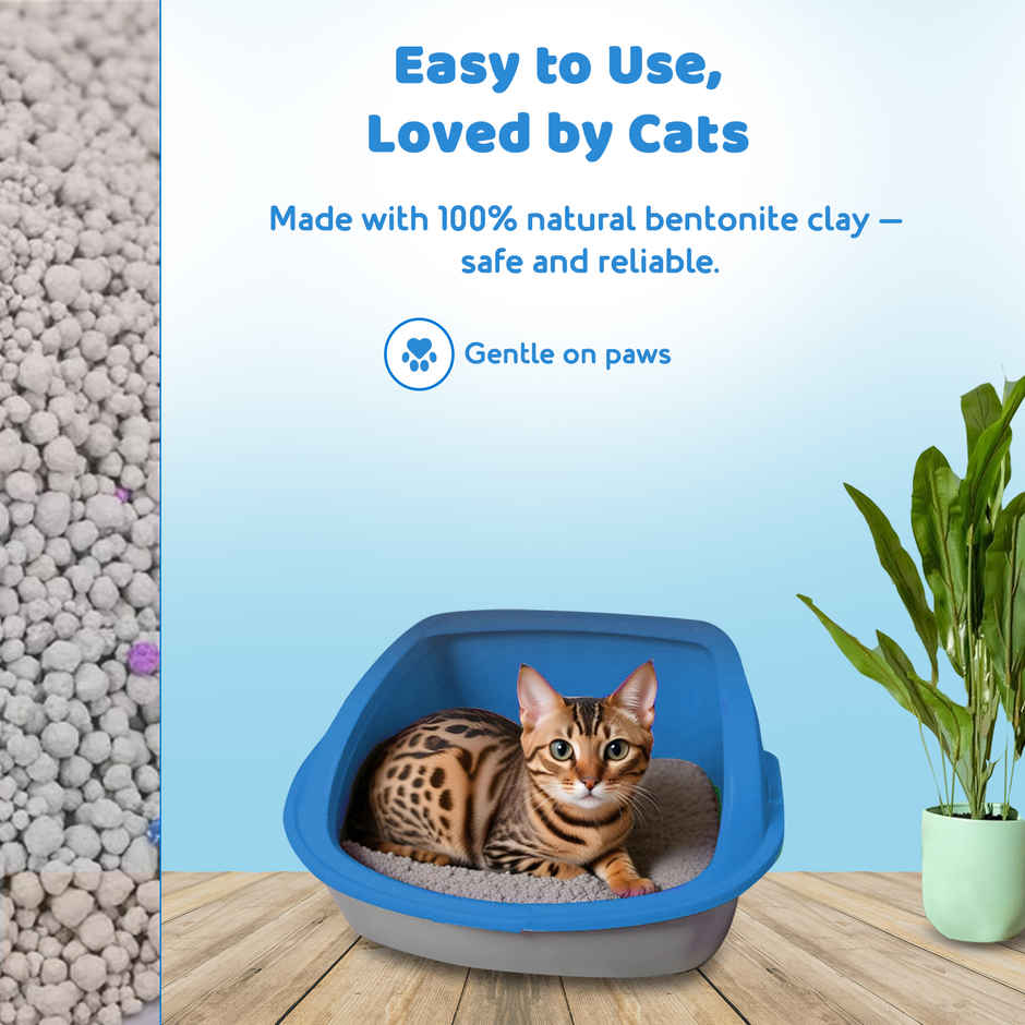 Petoska Bentonite Cat Litter | Unscented