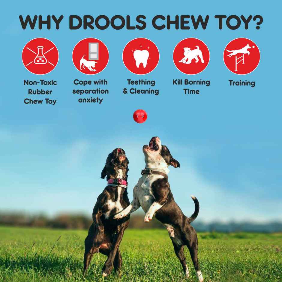 Drools Non-Toxic Rubber Pet Hole Ball Dog Teething Toy - 3 inches