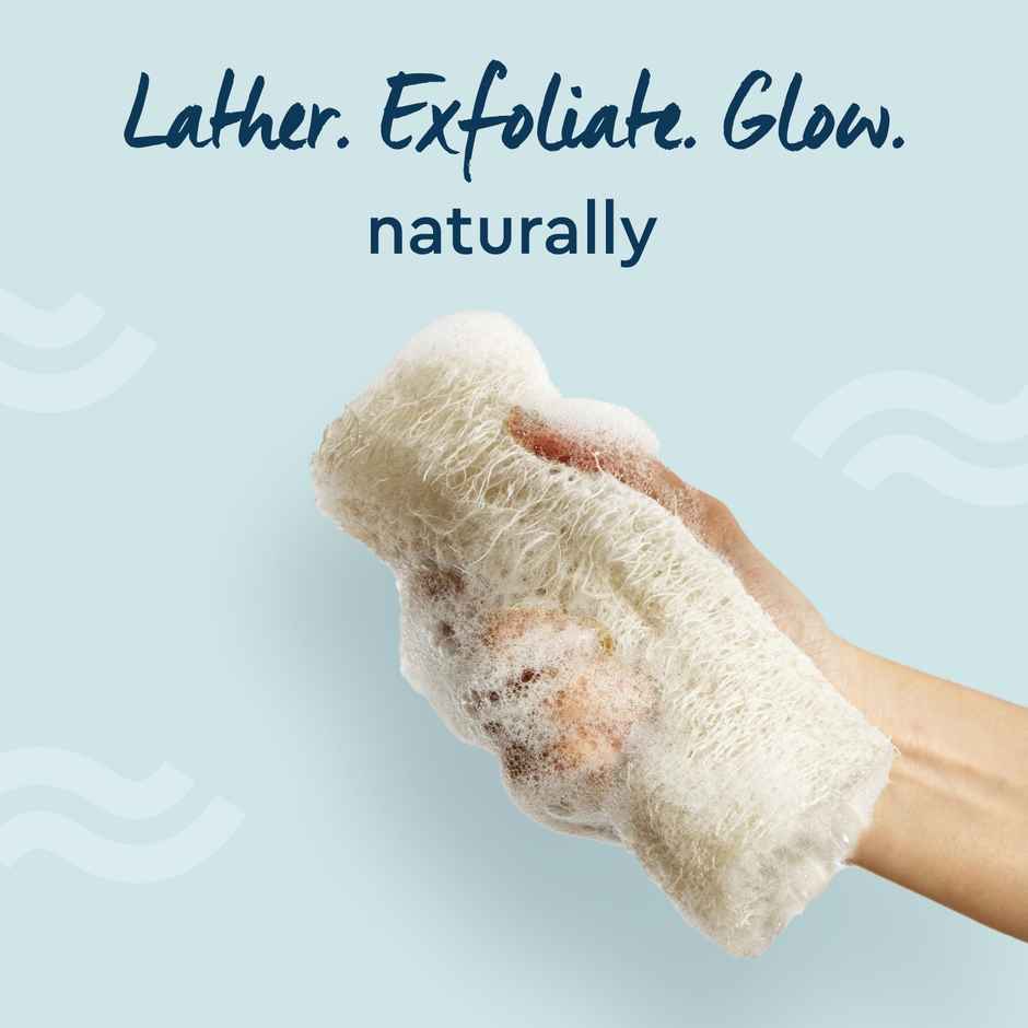 GUBB Natural Loofa