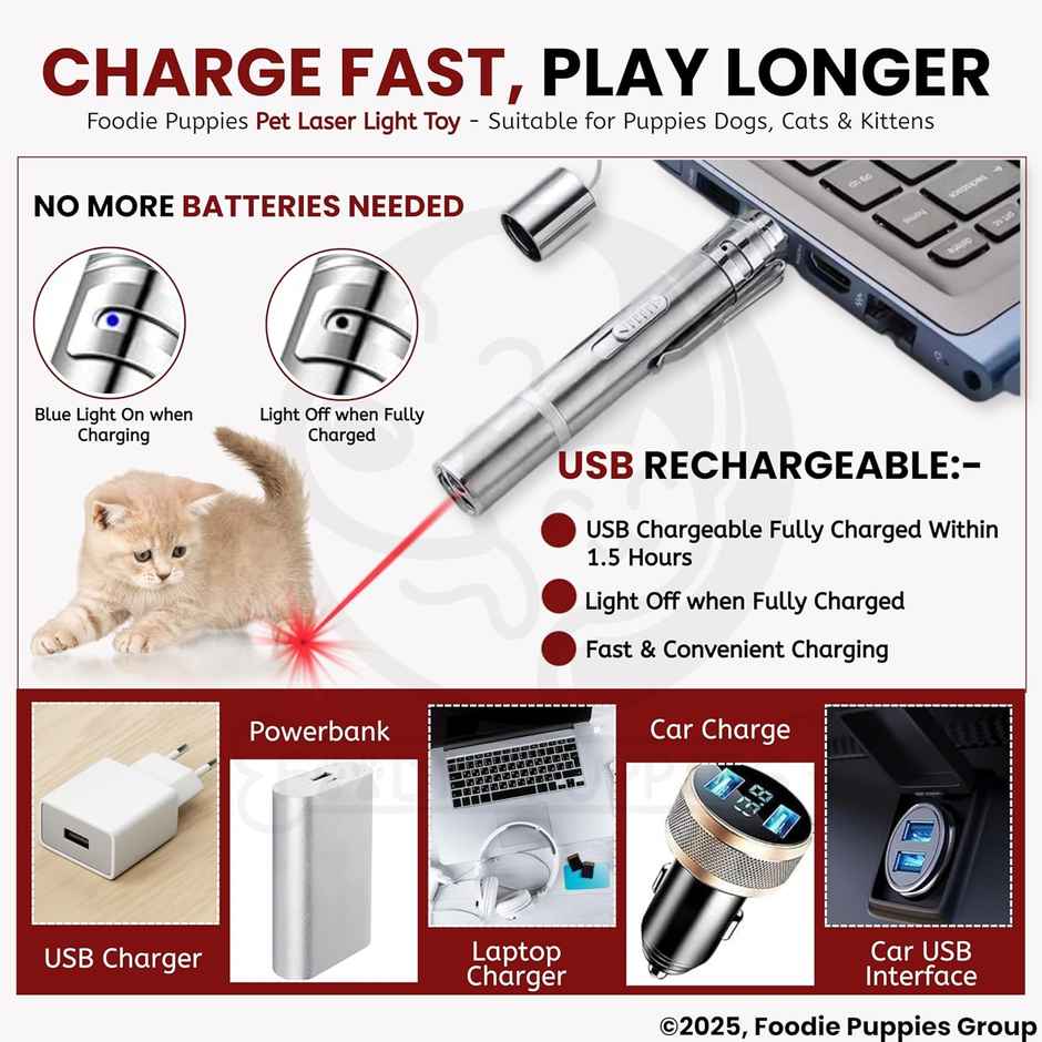 Foodie Puppies 3 in 1 USB Cat Teasing Laser Pointer Silver