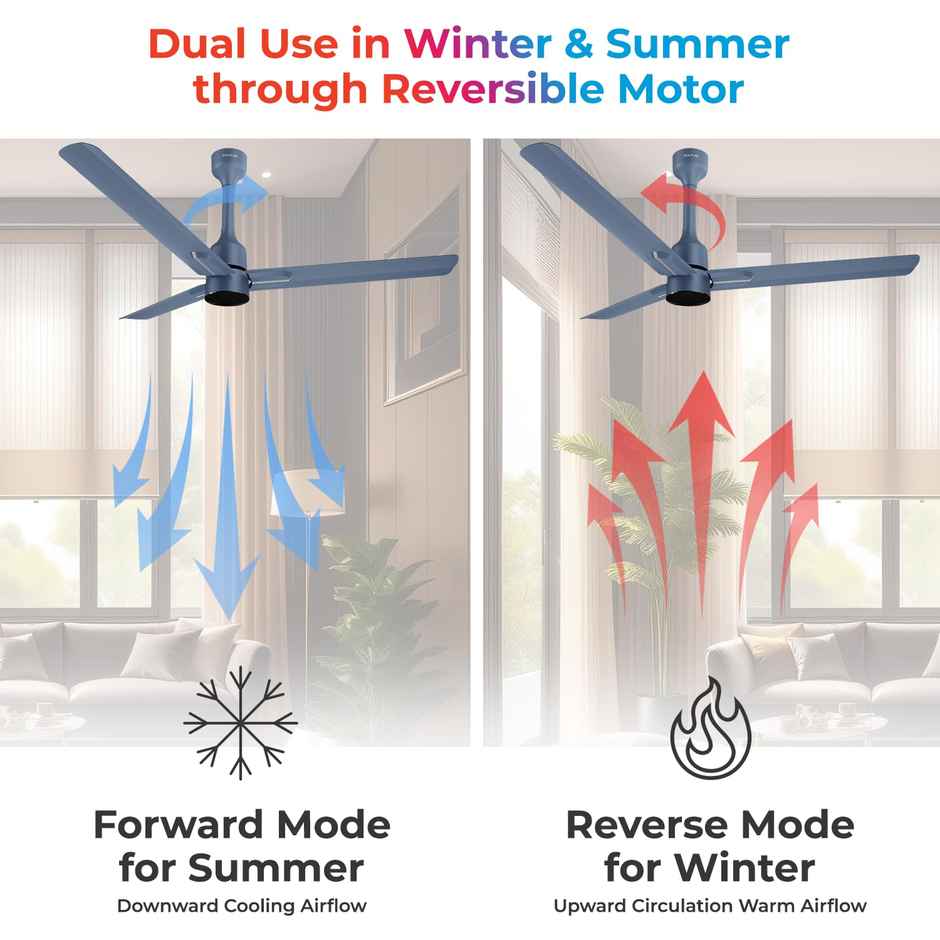 Polycab Wizzy Neo BLDC Ceiling fan, 1200mm, Remote Control, 5-Star, 6 Speed Setting, Blue Silver