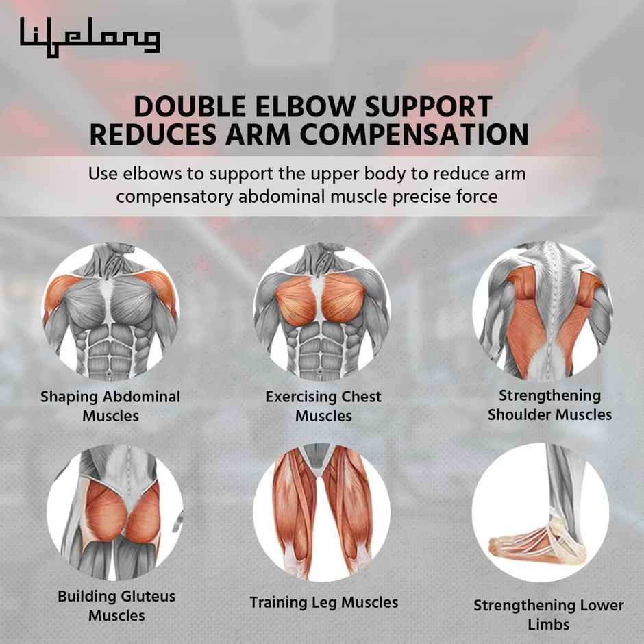 Lifelong Abs Roller For Men & Women With Timer Mobile Holder & Knee Pad-Exercise (Blue)