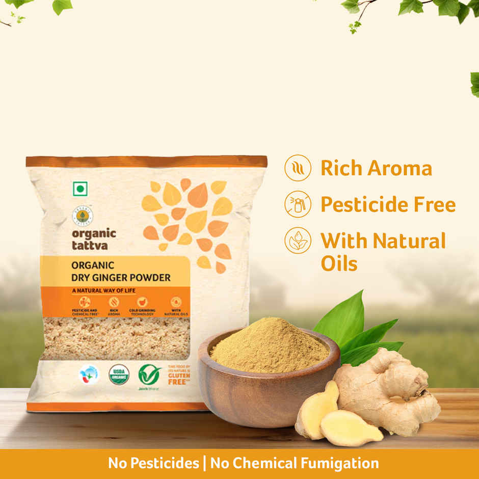Organic Tattva Dry Ginger Powder
