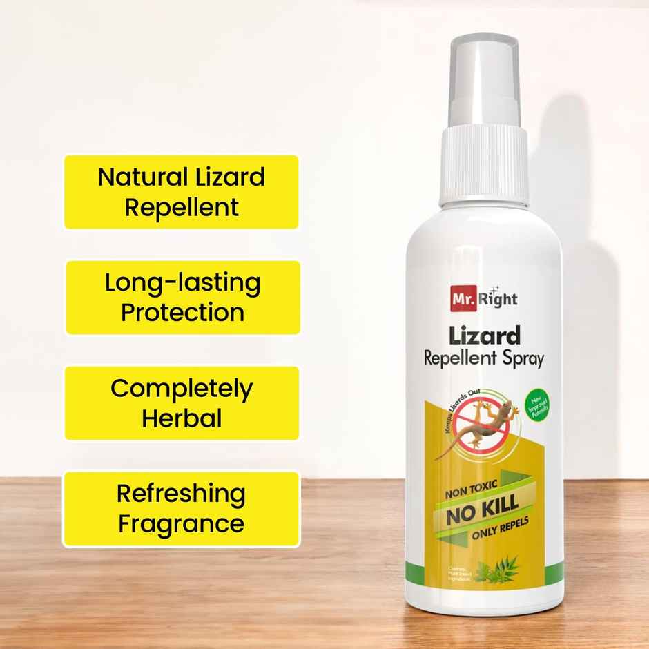 Mr. Right Herbal Lizard Repellent Spray for Home | Natural and Chemical Free