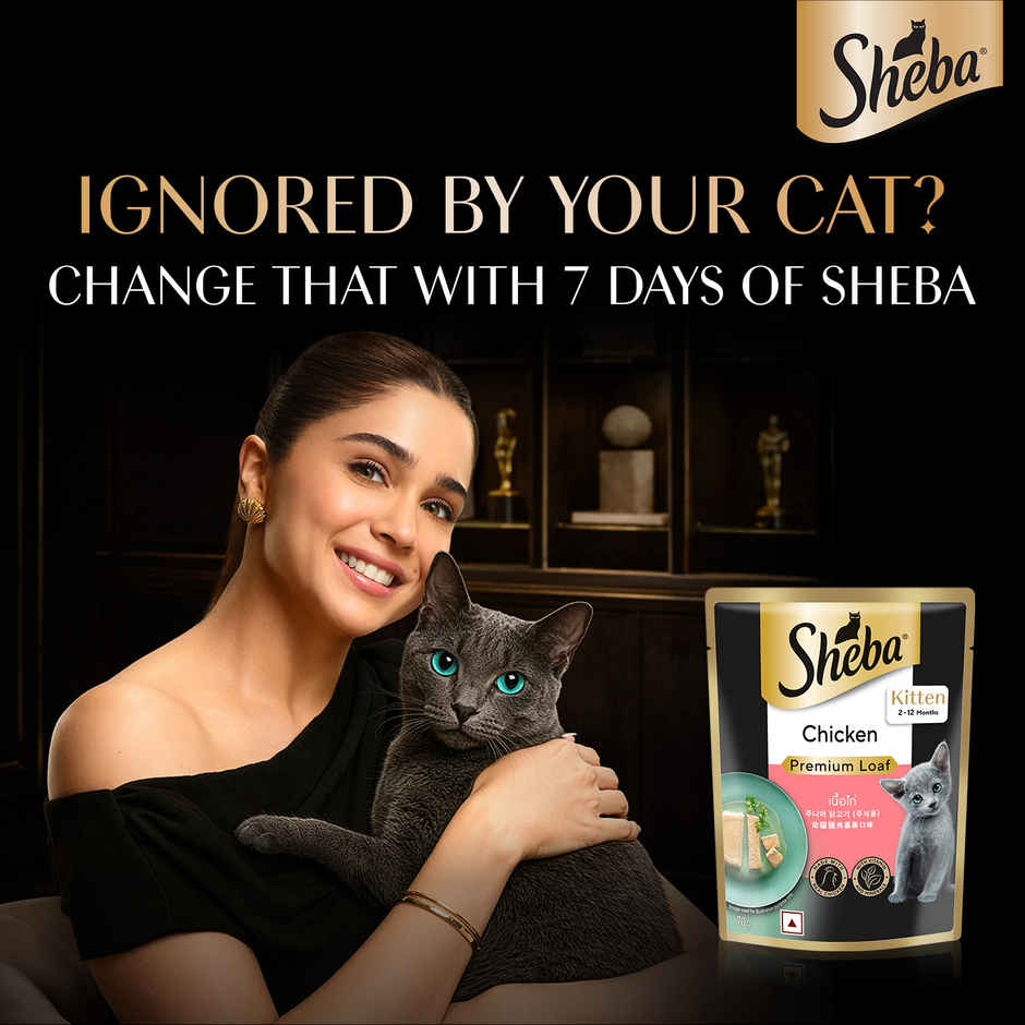 Sheba Fine Kitten Chicken Premium Loaf Wet Cat Food