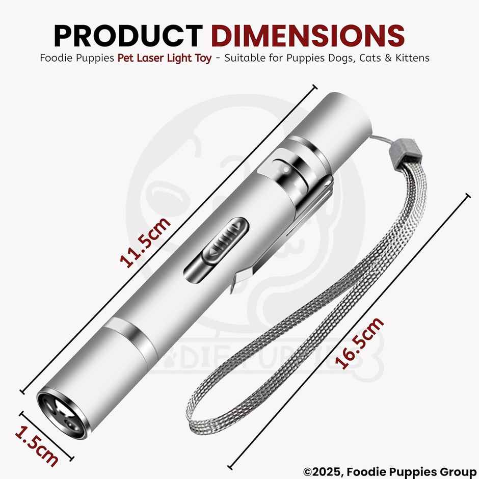 Foodie Puppies 3 in 1 USB Cat Teasing Laser Pointer Silver