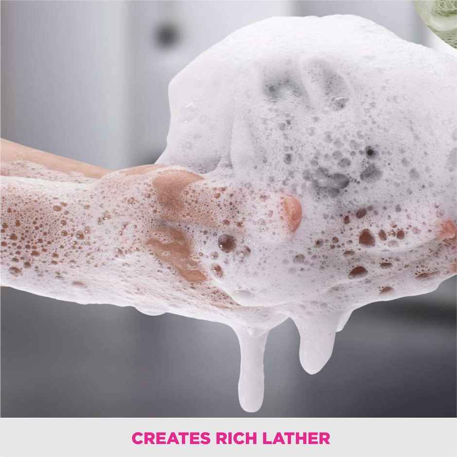 VEGA Deluxe Body Sponge | BA-2/3 | Assorted