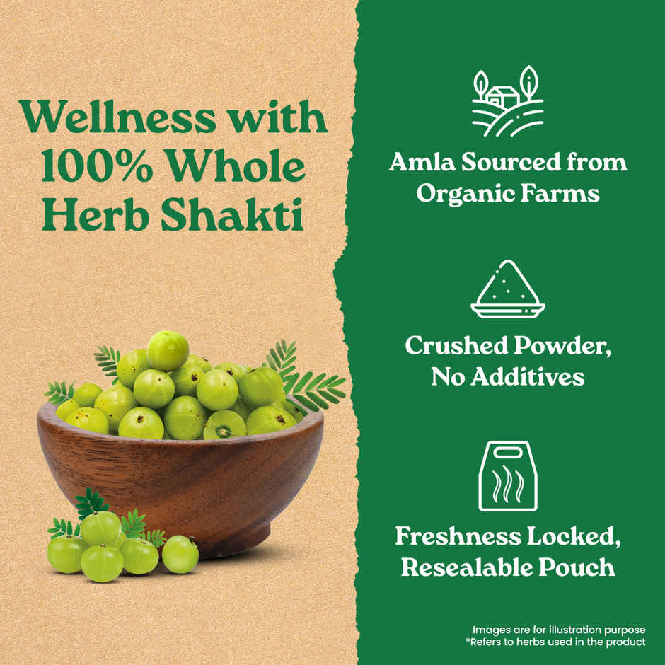Organic India Amla Powder