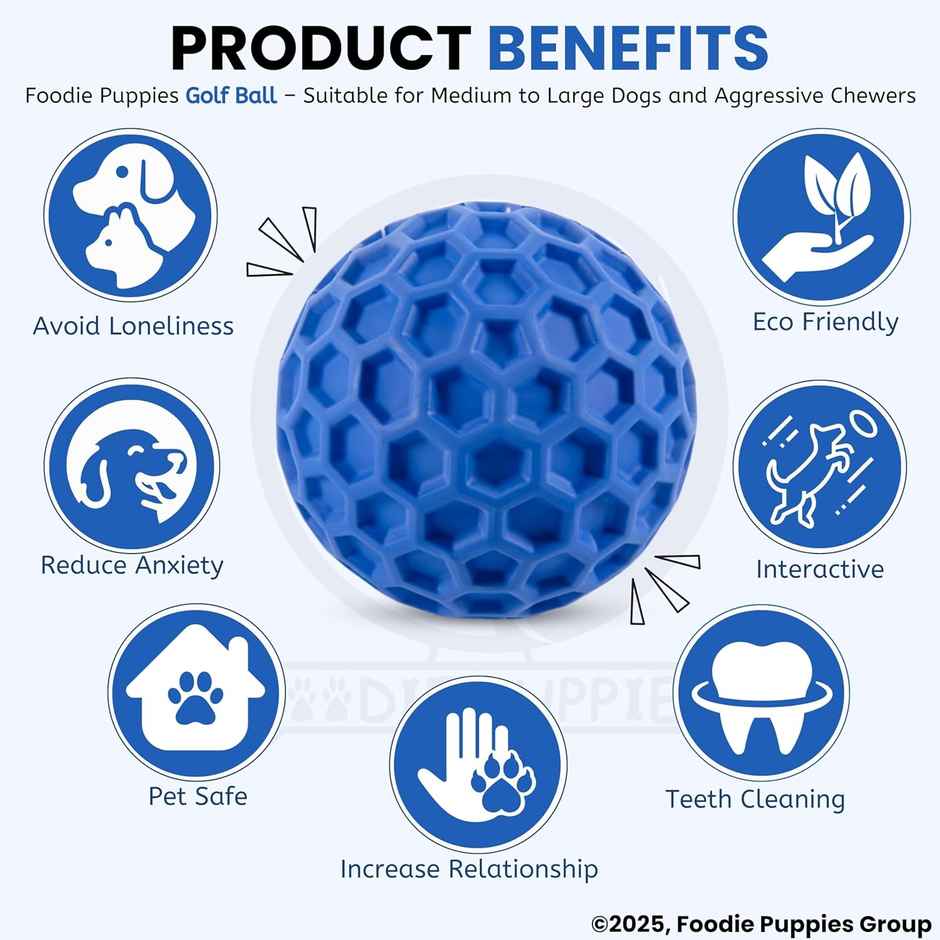Foodie Puppies Tough Rubber Squeaky Dog Chew Golf Ball