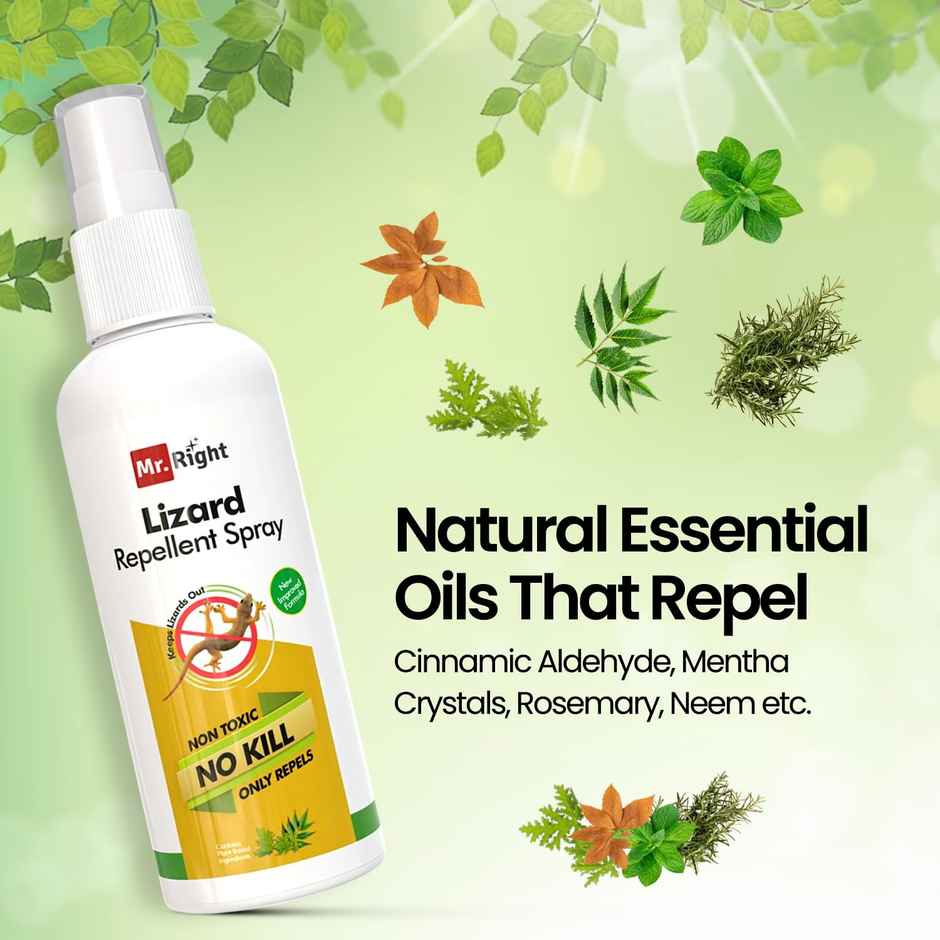 Mr. Right Herbal Lizard Repellent Spray for Home | Natural and Chemical Free