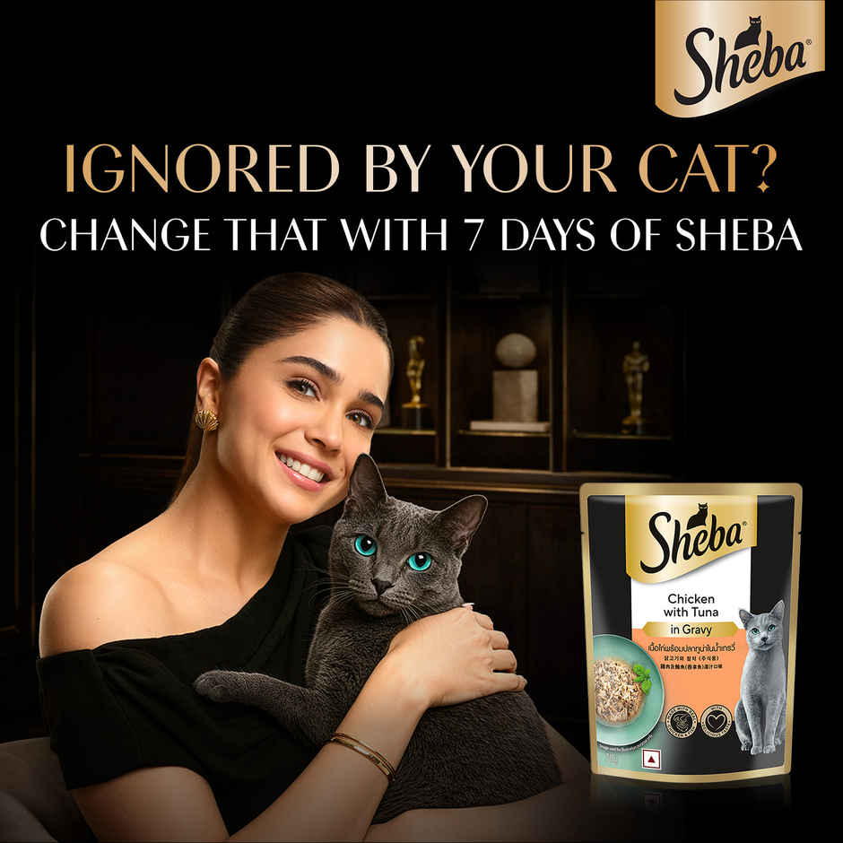 Sheba Fine Adult Chicken with Tuna in Gravy Wet Cat Food Combo