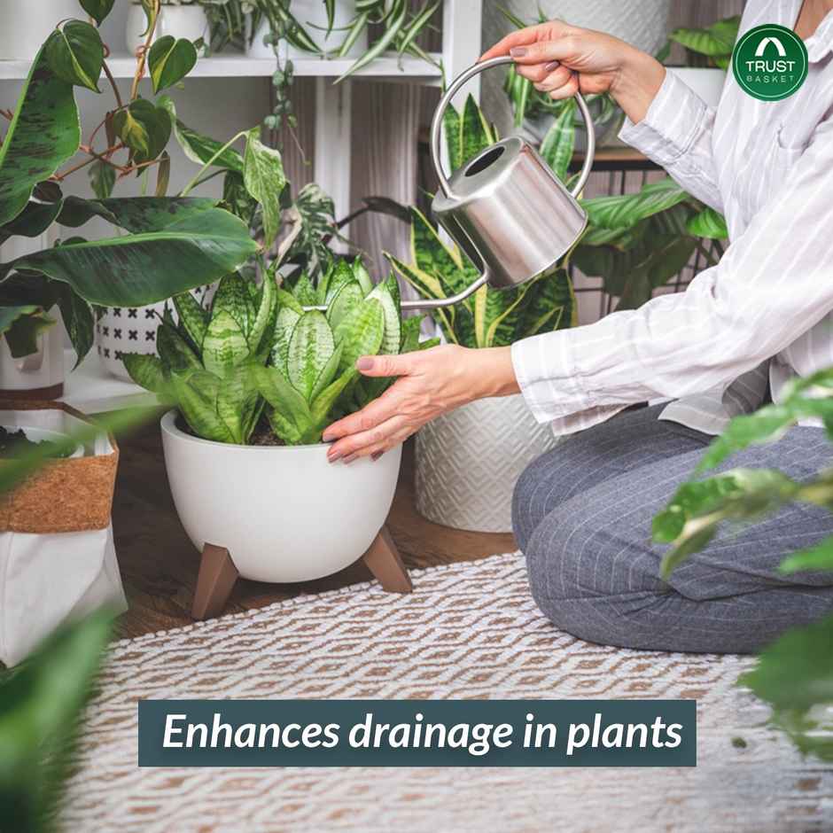 Trustbasket Natural River Sand For Plants & Aquariums | Ideal For Pooja, Terrariums