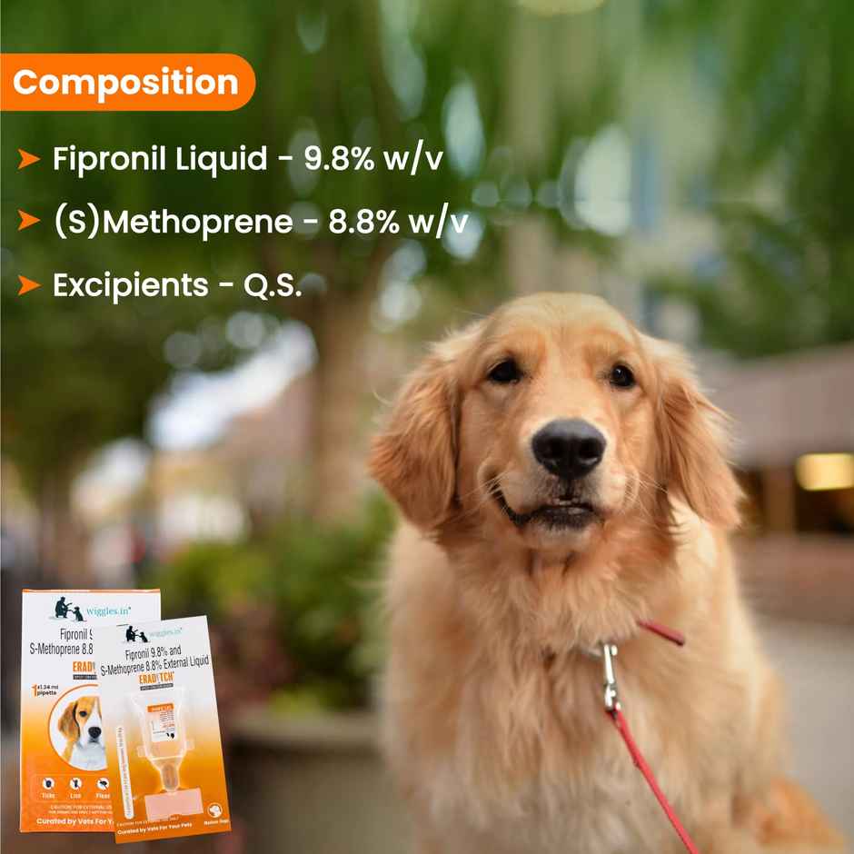 WIGGLES Eraditch Spot on for Dogs Fleas Ticks Remover Treatment Solution Drops, Adult Medium Dogs (10kg to 20kg)
