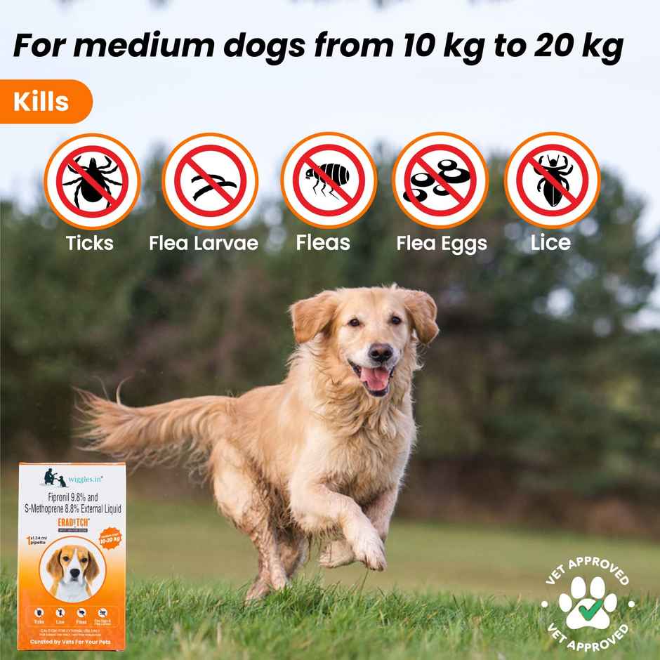 WIGGLES Eraditch Spot on for Dogs Fleas Ticks Remover Treatment Solution Drops, Adult Medium Dogs (10kg to 20kg)