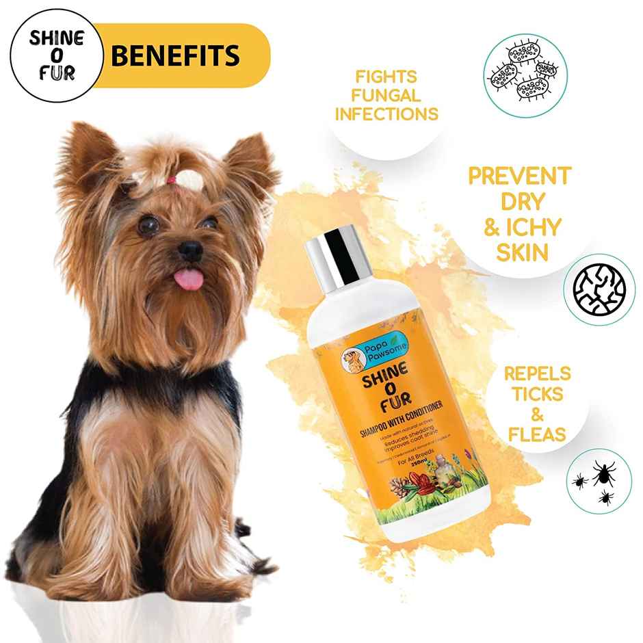 Papa Pawsome Shine O Fur Shampoo with Conditioner For Dog
