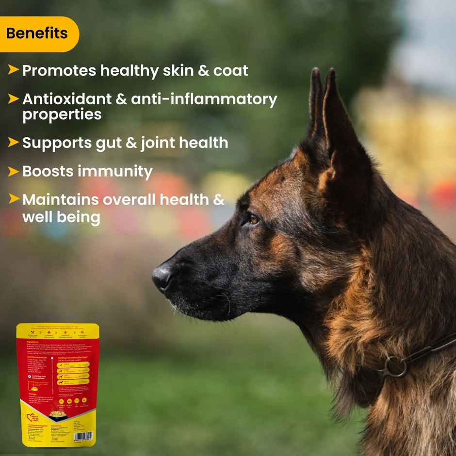 Wiggles Wet Dog Food Chicken Vegetable Gravy Puppy Adult Senior Pets