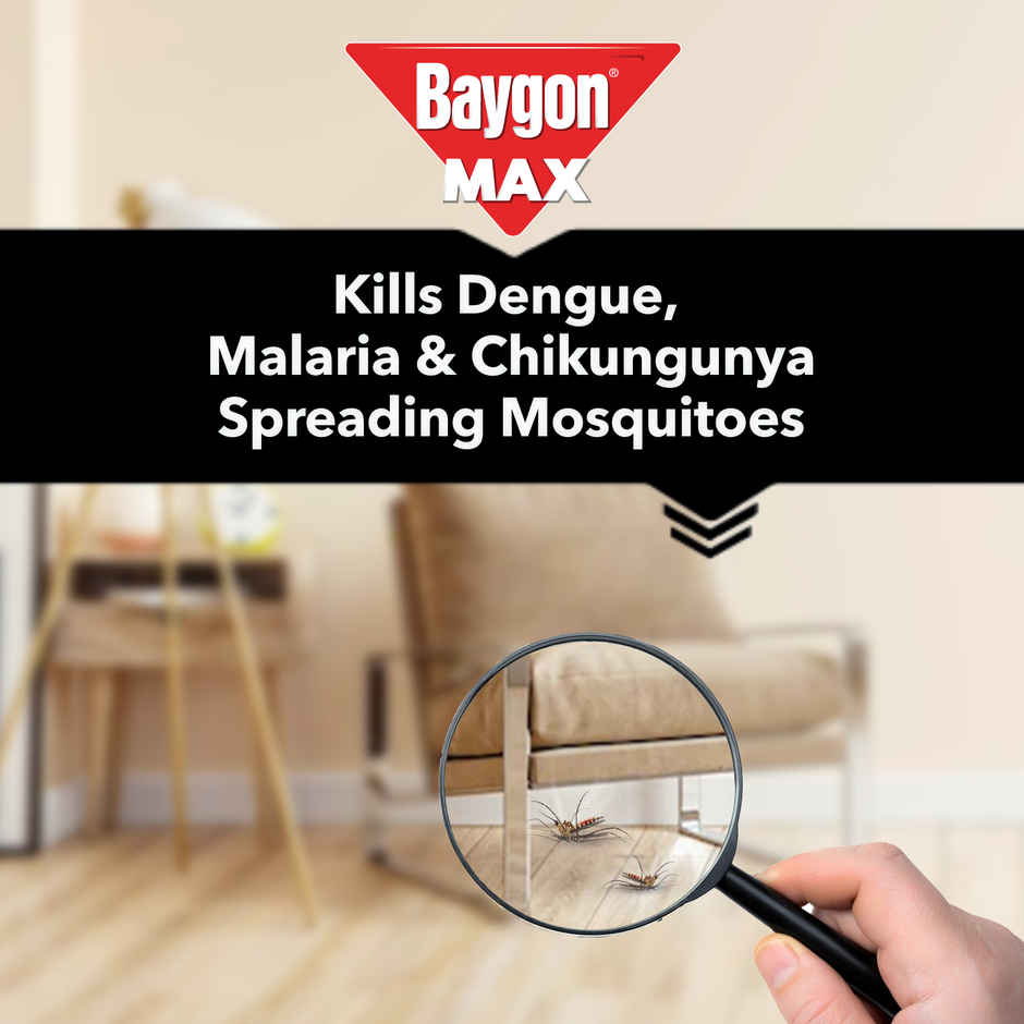 Baygon Max Mosquito and Fly Killer Spray