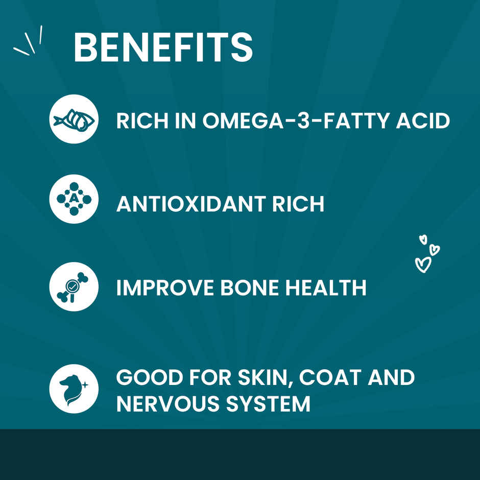 Goofy Tails Variety Pack Wet food for Cats & Kittens