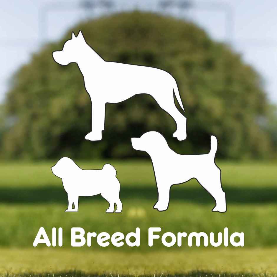 Purepet Pressed Chew Bones Dog Treats 4 Inches