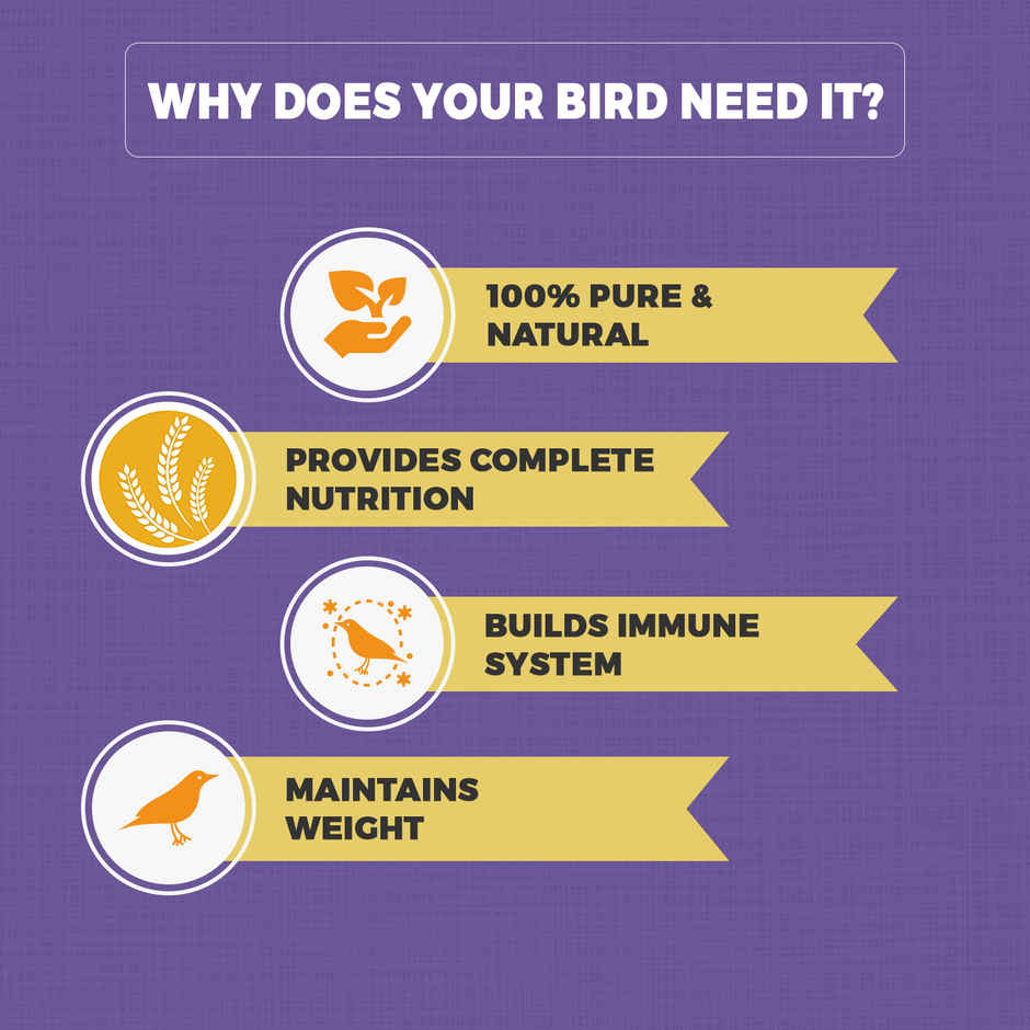 Petvit Parrot Food For Big Parrot Mix Seed