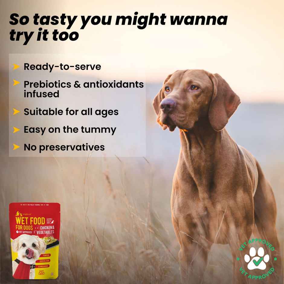 Wiggles Wet Dog Food Chicken Vegetable Gravy Puppy Adult Senior Pets