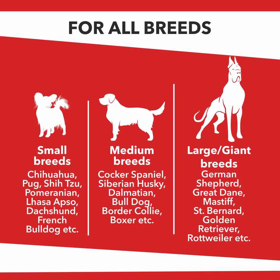 Baked Delights Chicken Flavour Bone Shaped Dog Treats Cookies