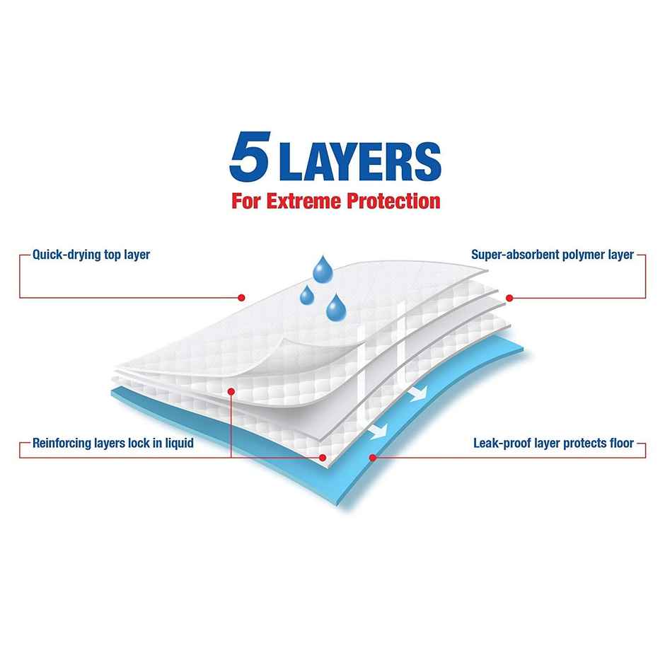 Nootie Training Pads(60X90)10Pcs