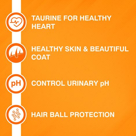 Purepet Mackerel Adult Dry Cat Food