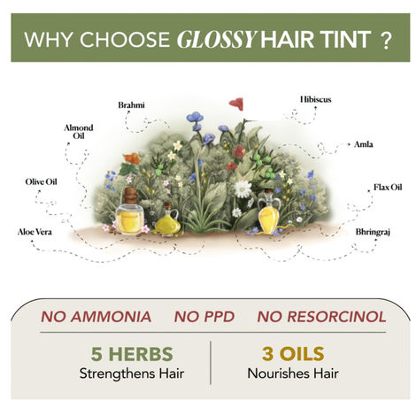 Paradyes No Bleach Berry Plum Glossy Hair Tint