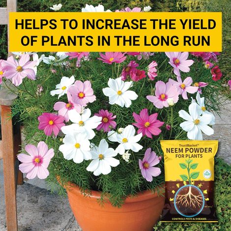 TrustBasket Neem Cake Powder | Organic Fertilizer & Pest Repellent for Home Gardening