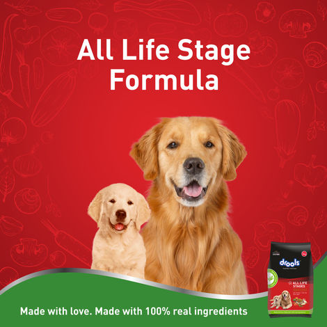 Drools All Lifestages 100% VEG Dry Dog FOOD