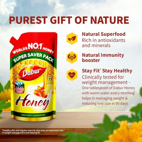 Dabur Honey - Refill Pouch, 100% Pure World's No.1 Honey Brand