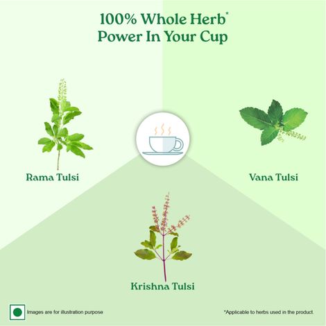 Organic India Tulsi Organic Classic Green Tea