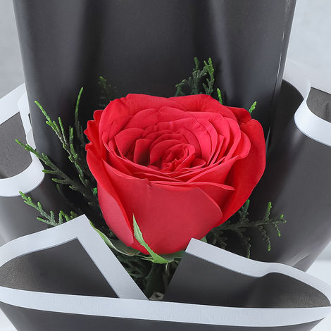 FNP Single Red Rose Bouquet