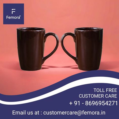 Femora Coffee Mug Without Gold Line Brown 2 Piece